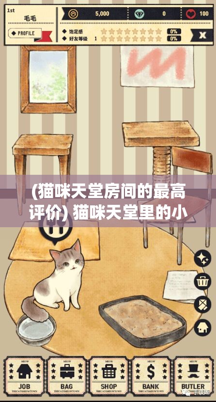 (猫咪天堂房间的最高评价) 猫咪天堂里的小故事：揭秘这些可爱生物的日常趣事，探索它们如何为我们的生活带来无限欢乐！